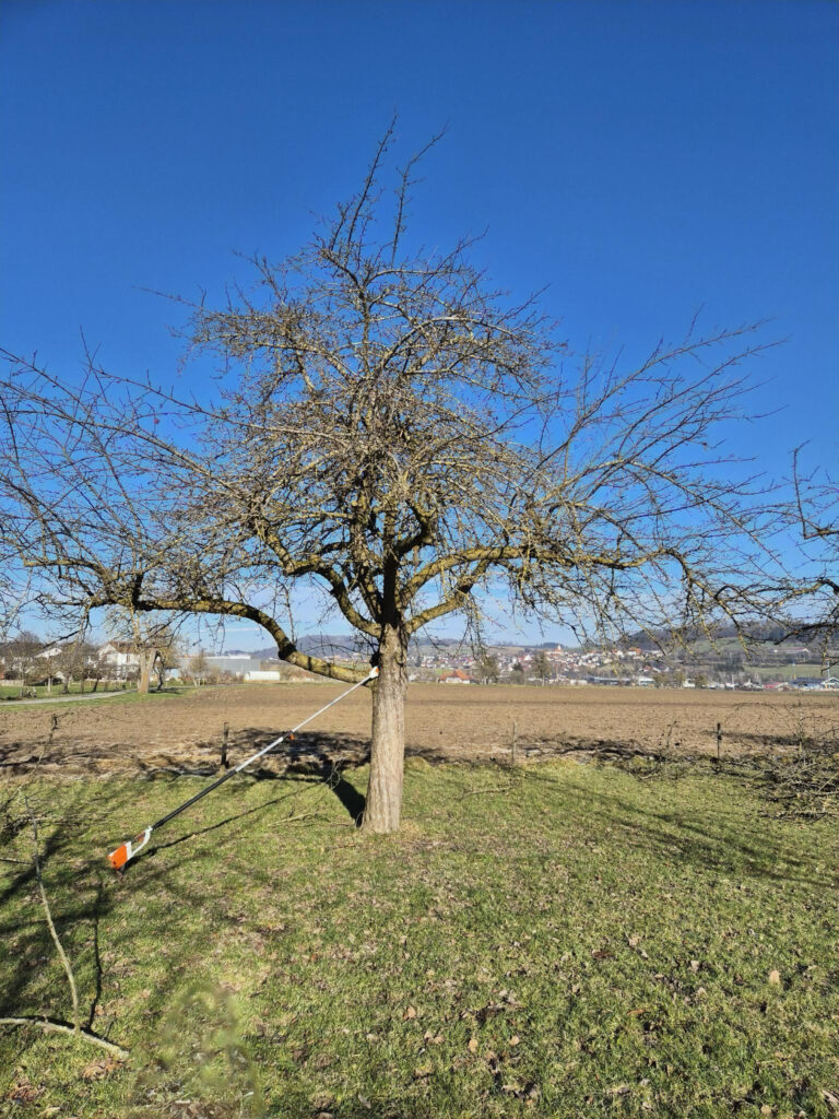 Vor dem Schnitt