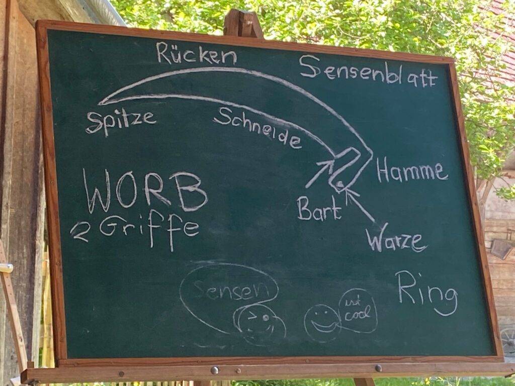 Sensenmähkurs, Theorie